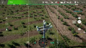 Top insulator assembly of a 10kV straight pole captured in drone simulation environment.